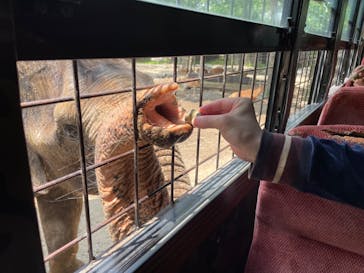 那須サファリパークに投稿された画像（2024/6/8）