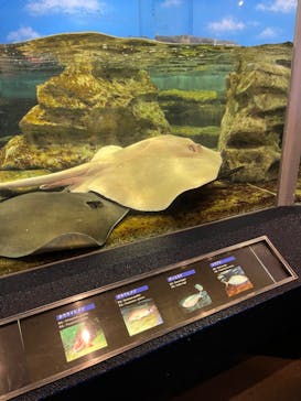 鴨川シーワールドに投稿された画像（2024/6/8）