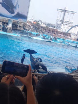 名古屋港水族館に投稿された画像（2024/6/8）