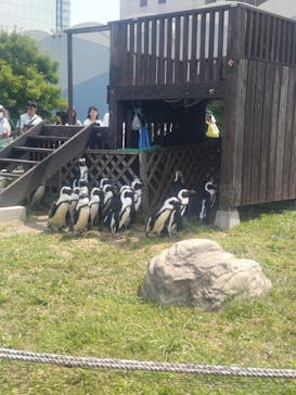 名古屋港水族館に投稿された画像（2024/6/8）