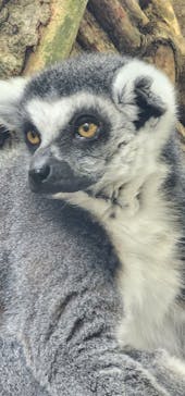 那須どうぶつ王国に投稿された画像（2024/6/8）