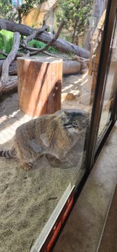 那須どうぶつ王国に投稿された画像（2024/6/8）