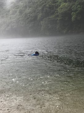 屋久島フィールド情報センターに投稿された画像（2024/6/8）