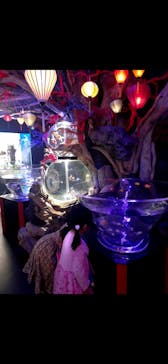 UWS AQUARIUM GA☆KYOに投稿された画像（2024/6/8）