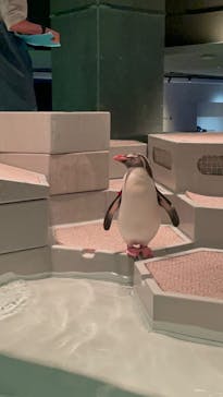 AOAO SAPPOROに投稿された画像（2024/6/8）