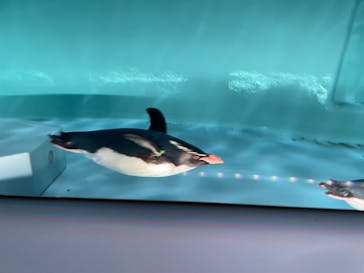 AOAO SAPPOROに投稿された画像（2024/6/8）