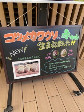 サンシャイン水族館に投稿された画像（2024/6/8）