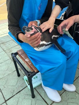 南知多ビーチランド＆南知多おもちゃ王国に投稿された画像（2024/6/8）