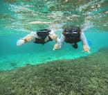 宮古島 ADVENTURE PiPi（ミヤコジマ アドベンチャー ピピ）に投稿された画像（2024/6/8）