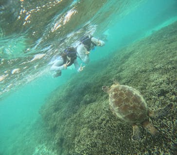 宮古島 ADVENTURE PiPi（ミヤコジマ アドベンチャー ピピ）に投稿された画像（2024/6/8）