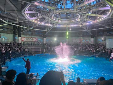 マクセル アクアパーク品川に投稿された画像（2024/6/8）