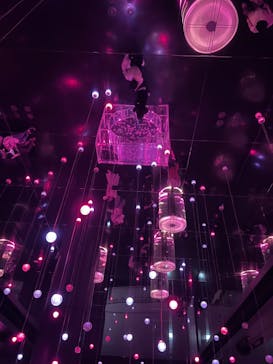 マクセル アクアパーク品川に投稿された画像（2024/6/8）