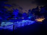 KYOTO ILLUMINATION SYNESTHESIA HILLS るり渓温泉に投稿された画像（2024/6/8）