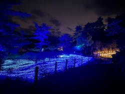 KYOTO ILLUMINATION SYNESTHESIA HILLS るり渓温泉に投稿された画像（2024/6/8）