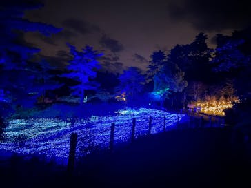 KYOTO ILLUMINATION SYNESTHESIA HILLS るり渓温泉に投稿された画像（2024/6/8）