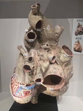 特別展「大哺乳類展３－わけてつなげて大行進」に投稿された画像（2024/6/8）