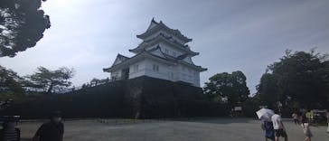 小田原城に投稿された画像（2024/6/8）