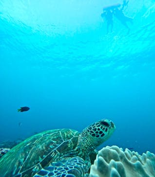  マリンショップHAPPYに投稿された画像（2024/6/8）