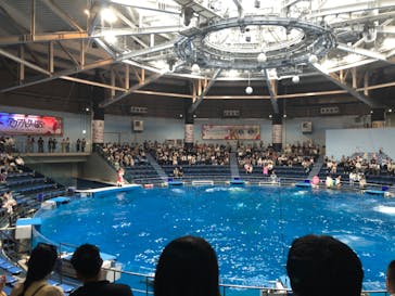 マクセル アクアパーク品川に投稿された画像（2024/6/8）