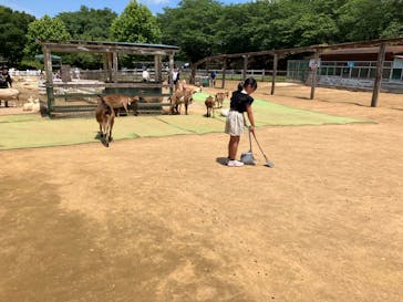 成田ゆめ牧場に投稿された画像（2024/6/8）