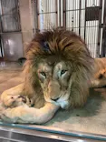 天王寺動物園に投稿された画像（2024/6/8）