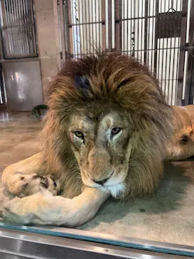 天王寺動物園に投稿された画像（2024/6/8）