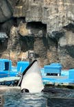 名古屋港水族館に投稿された画像（2024/6/8）