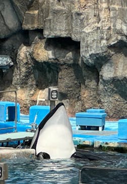 名古屋港水族館に投稿された画像（2024/6/8）