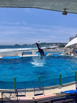 鴨川シーワールドに投稿された画像（2024/6/8）