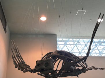 名古屋港水族館に投稿された画像（2024/6/8）