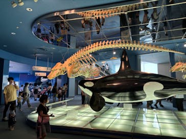 名古屋港水族館に投稿された画像（2024/6/8）