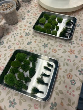 カルチャースクールいろはに投稿された画像（2024/6/8）