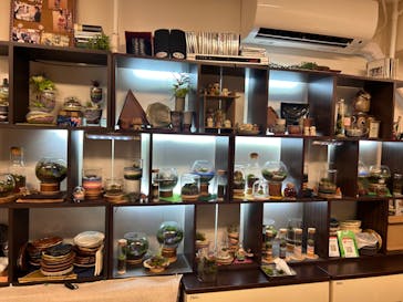 カルチャースクールいろはに投稿された画像（2024/6/8）