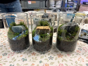 カルチャースクールいろはに投稿された画像（2024/6/8）