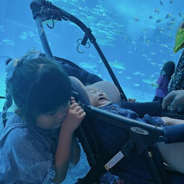 沖縄美ら海水族館に投稿された画像（2024/6/8）