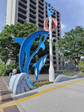 しながわ水族館に投稿された画像（2024/6/8）