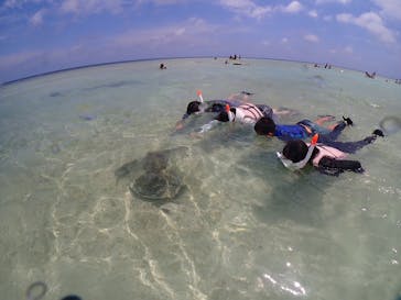 初心者専門宮古島シュノーケリングツアーに投稿された画像（2024/6/7）