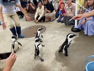 マリンワールド海の中道に投稿された画像（2024/6/8）