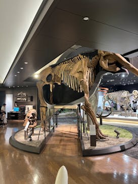 滋賀県立琵琶湖博物館に投稿された画像（2024/6/8）