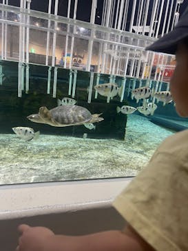 NIFREL（ニフレル）に投稿された画像（2024/6/8）