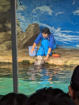 マリンワールド海の中道に投稿された画像（2024/6/8）