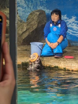 マリンワールド海の中道に投稿された画像（2024/6/8）