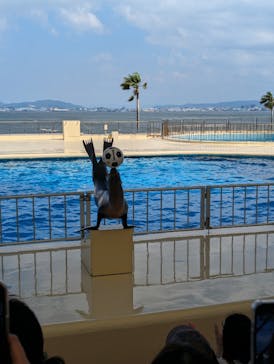 マリンワールド海の中道に投稿された画像（2024/6/8）