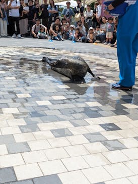 マリンワールド海の中道に投稿された画像（2024/6/8）