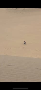 ゼロパラグライダースクールに投稿された画像（2024/6/8）