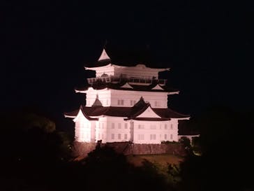 小田原城に投稿された画像（2024/6/8）