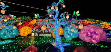 伊豆ぐらんぱる公園に投稿された画像（2024/6/8）