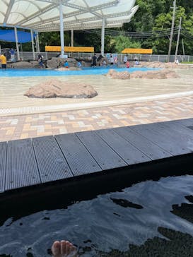 志摩市浜島磯体験施設 海ほおずきに投稿された画像（2024/6/8）