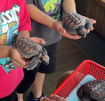 串本海中公園水族館に投稿された画像（2024/6/8）