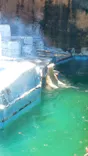 天王寺動物園に投稿された画像（2024/6/3）